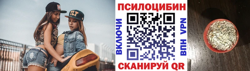 ссылка на мегу ССЫЛКА  сайты даркнета формула  Галлюциногенные грибы Magic Shrooms  Петровск 